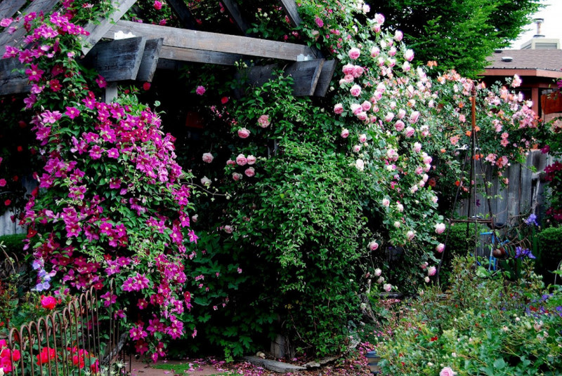 DSC_0681FB.jpg