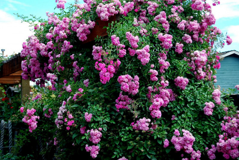 DSC_0854FB.jpg