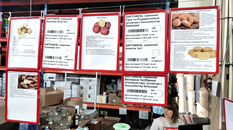 P10206-112539.jpg
