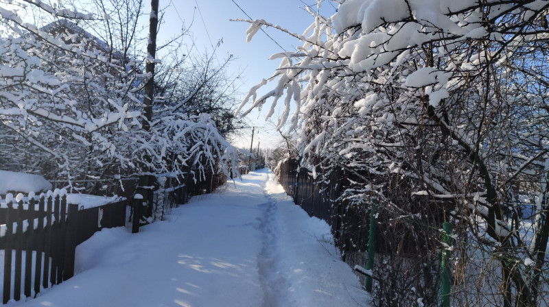 P10206-120347.jpg