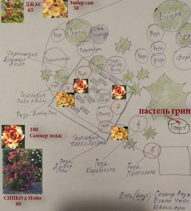яя на весну 2021-2 (1).jpg
