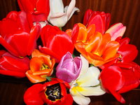 DSC08106.JPG