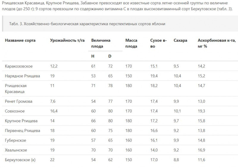 Буфер обмена03.jpg