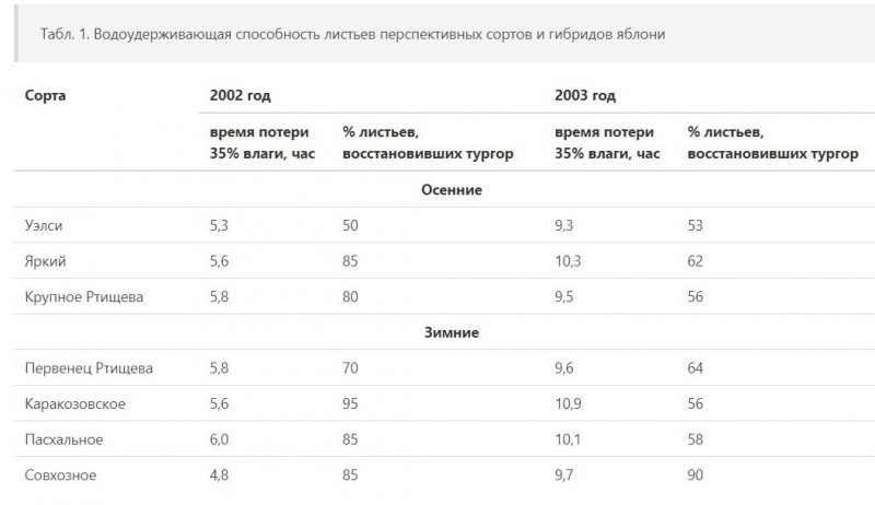 Буфер обмена01.jpg
