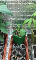 IMAG0203.jpg