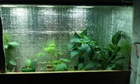 IMAG0211.jpg