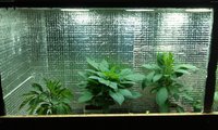 IMAG0206.jpg