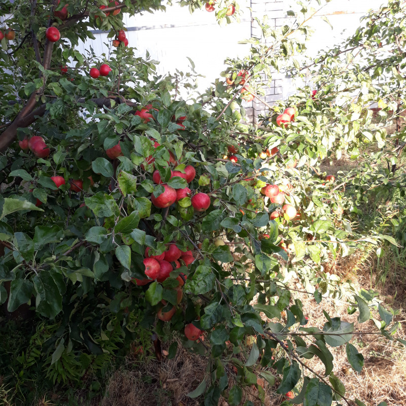 20200906_165825ХК.jpg