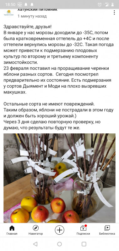 Screenshot_20210227-185013.jpg