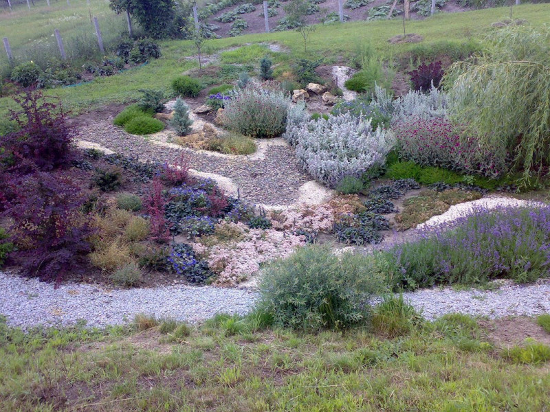 30062007206.jpg