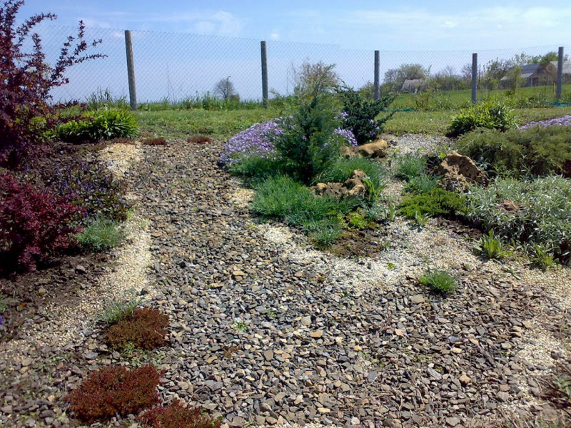 09052008564.jpg