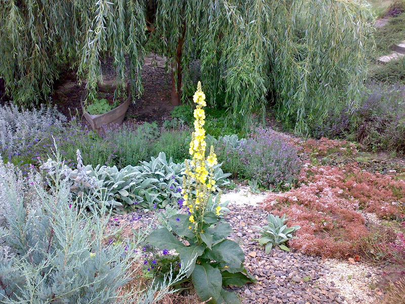 26072008927.jpg