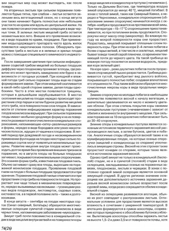 Монилиальный ожог 2.jpg