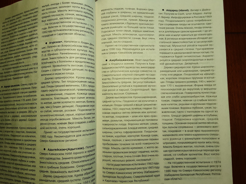 20210301_163459.jpg