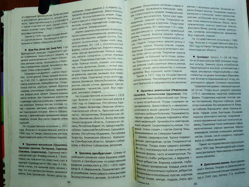 20210301_163735.jpg