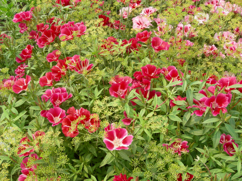 DSCN0855.JPG