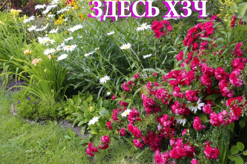 ПХ вопрос.jpg
