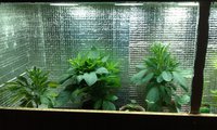 IMAG0217.jpg