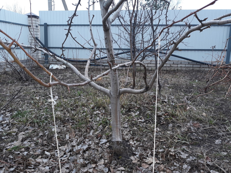 20190330_174311.jpg