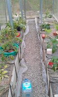 IMAG0230.jpg