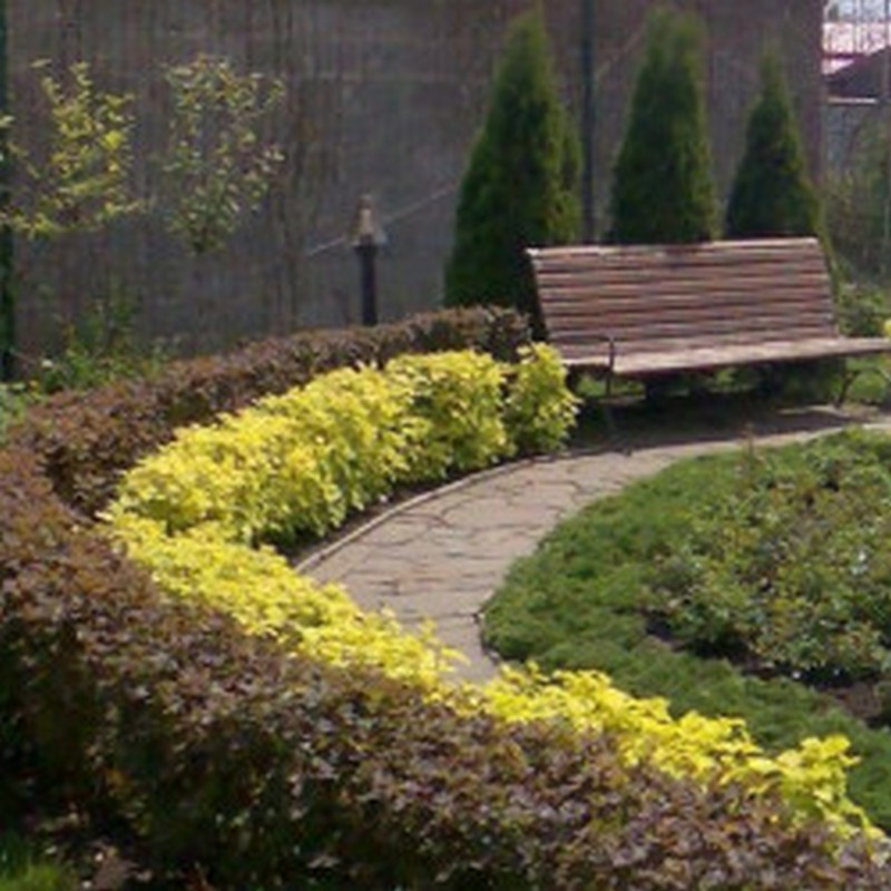 1-355eca44a6d7e6d995.th.jpg