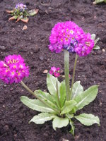 DSCN5232.JPG
