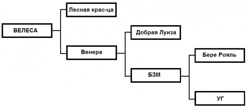 Велеса.jpg