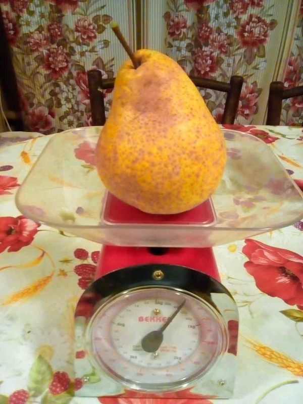 Брянская красавица