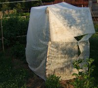 DSCF0465_cr.jpg