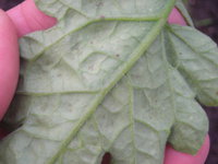 DSCN5315.JPG