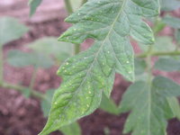 DSCN5318.JPG