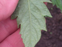 DSCN5319.JPG