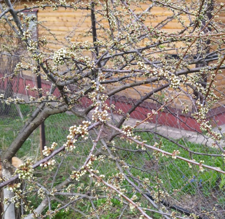 20210509_113021.jpg