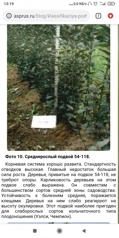 Screenshot_2021-05-19-13-19-43-369_com.android.chrome.jpg
