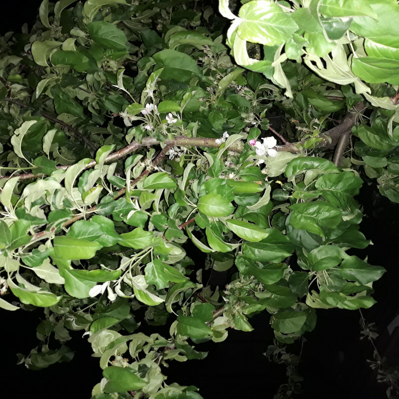 20210522_215342.jpg