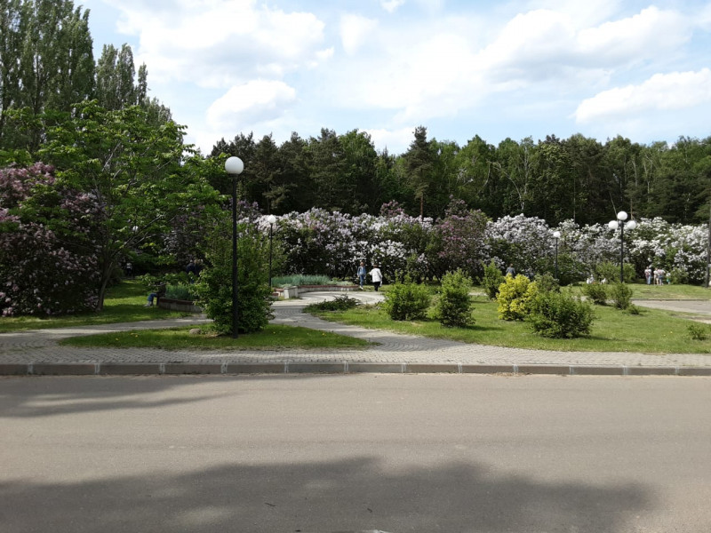IMG-20210523-WA0015.jpg