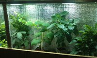 IMAG0286.jpg
