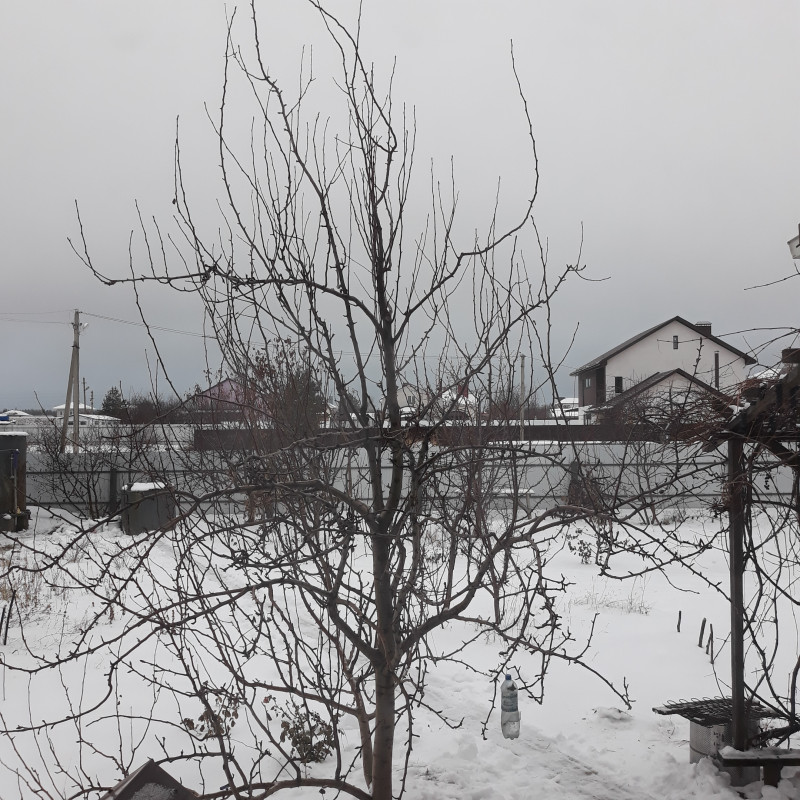 20201220_160217.jpg
