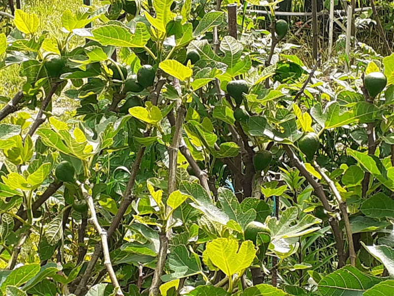 20210606_095921.jpg