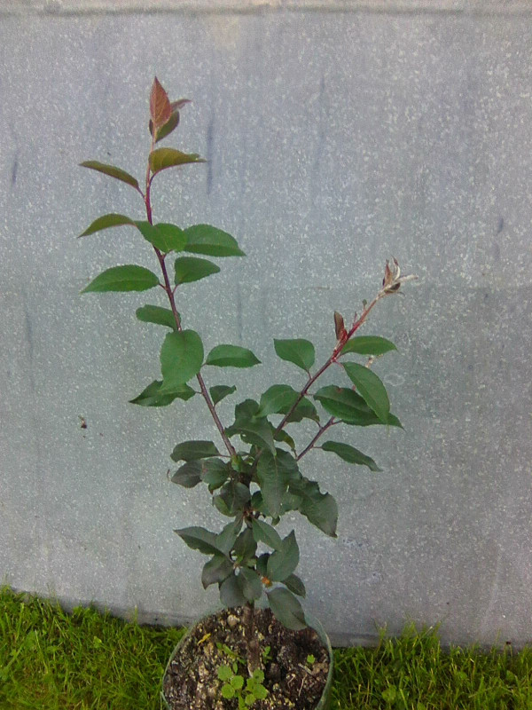 Photo0158.jpg