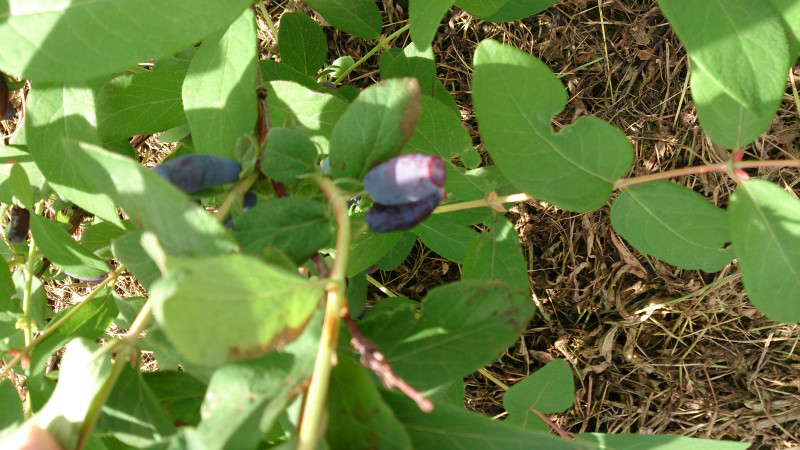 DSC_3832.JPG