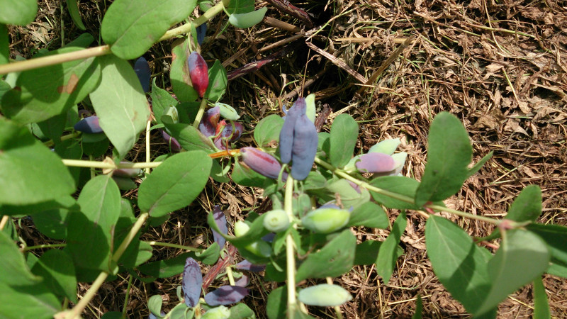 DSC_3833.JPG