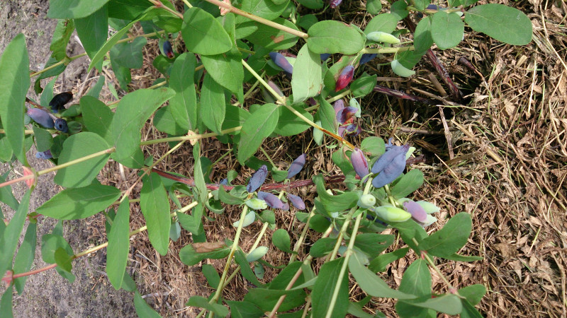 DSC_3834.JPG