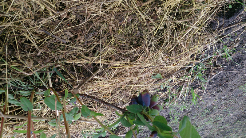 DSC_3843.JPG
