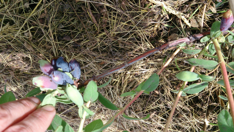 DSC_3844.JPG
