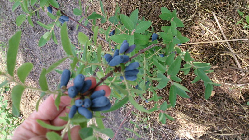 DSC_3846.JPG