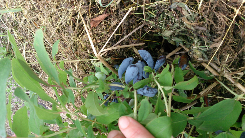 DSC_3853.JPG