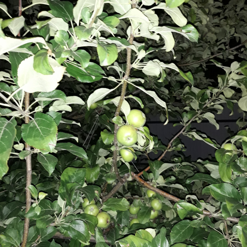 20210711_000158 ХК.jpg