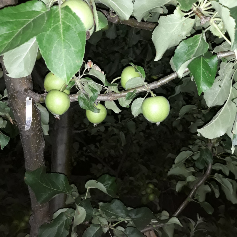 20210710_235946 Пинова.jpg
