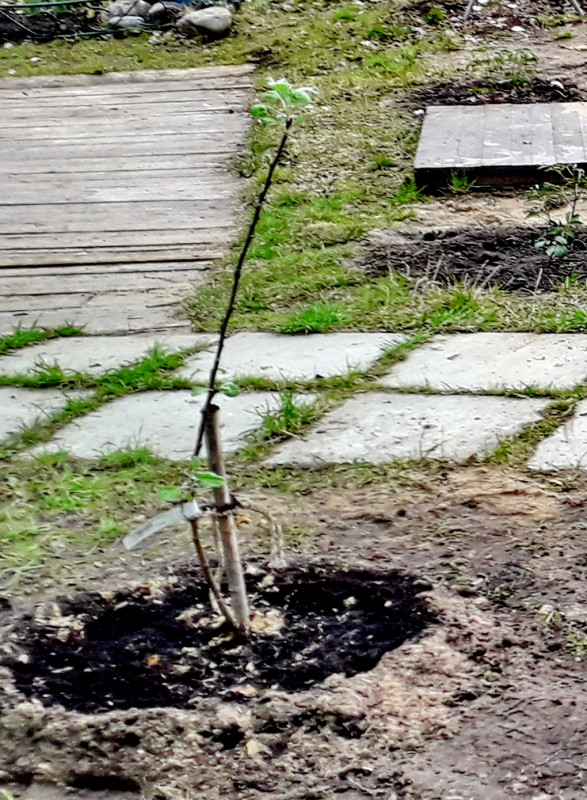 20200517_135253.jpg
